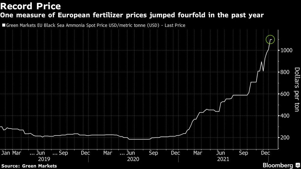 Una medida de los precios de los fertilizantes europeos se multiplicó por cuatro en el último año Una medida de los precios de los fertilizantes europeos se multiplicó por cuatro en el último año
