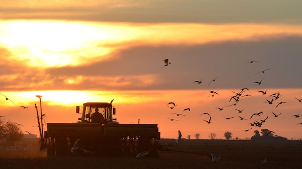 Argentina’s 2023 Soy Crop Will Be the Lowest in 5 Years, Satellites Suggest Argentina’s 2023 Soy Crop Will Be the Lowest in 5 Years, Satellites Suggest