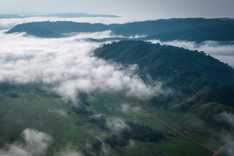 Área protegida cerca de Sao Felix do Xingu, estado de Pará, Brasil.
Fotógrafo: Jonne Roriz/Bloomberg Área protegida cerca de Sao Felix do Xingu, estado de Pará, Brasil.
Fotógrafo: Jonne Roriz/Bloomberg