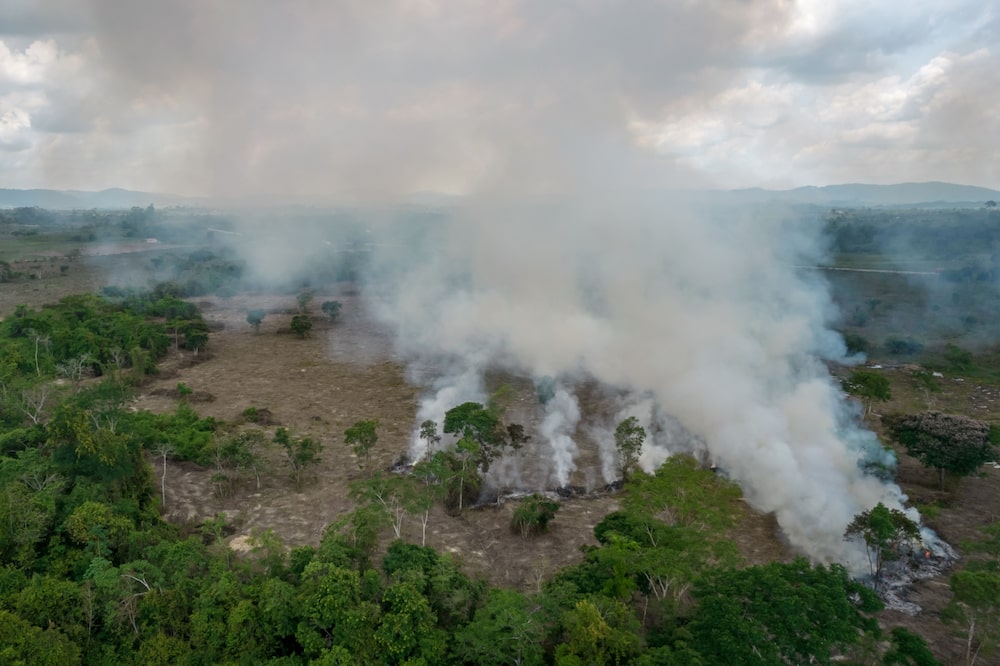 Medioambiente Medioambiente