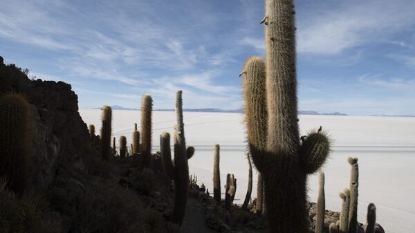 German Chancellor Olaf Scholz Visits South America in a Race With China to Get Lithium German Chancellor Olaf Scholz Visits South America in a Race With China to Get Lithium