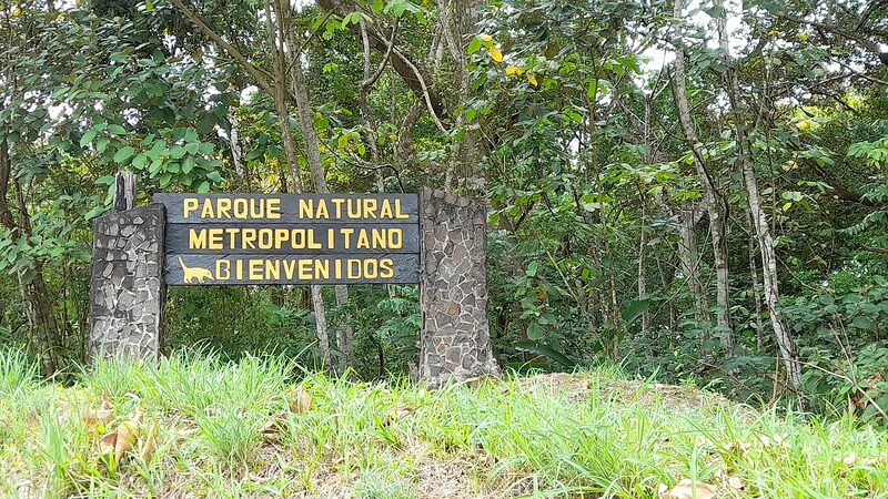 Parque Natural Metropolitano, un bosque en la ciudad de Panamá Parque Natural Metropolitano, un bosque en la ciudad de Panamá