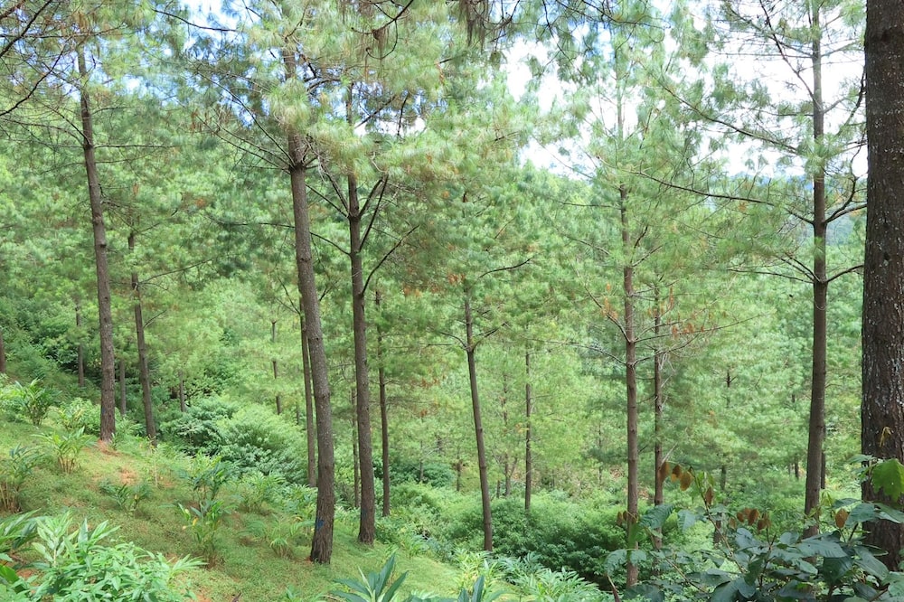 El primer desembolso asciende a US$22,6 millones. El primer desembolso asciende a US$22,6 millones.