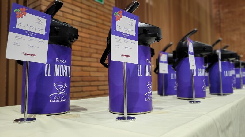 En la subasta, participaron compradores de empresas internacionales de mercados tradicionales, entre estos Estados Unidos y Japón, y de mercados emergentes como Taiwán, Australia y Arabia. En la subasta, participaron compradores de empresas internacionales de mercados tradicionales, entre estos Estados Unidos y Japón, y de mercados emergentes como Taiwán, Australia y Arabia.