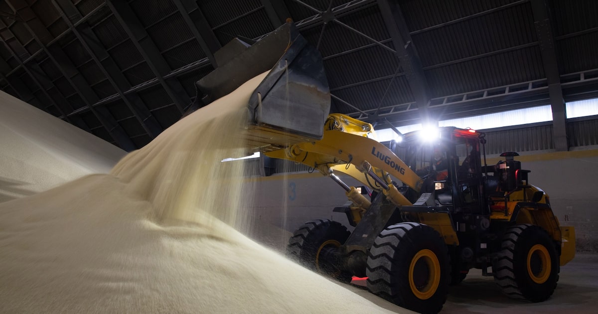 PAMPA ENERGÍA BUSCA FINANCIAMIENTO BID PARA PLANTA DE FERTILIZANTES