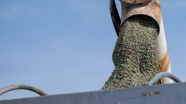 Tensiones entre EE.UU. e Irán ponen en riesgo el suministro de fertilizantes a Sudamérica Tensiones entre EE.UU. e Irán ponen en riesgo el suministro de fertilizantes a Sudamérica