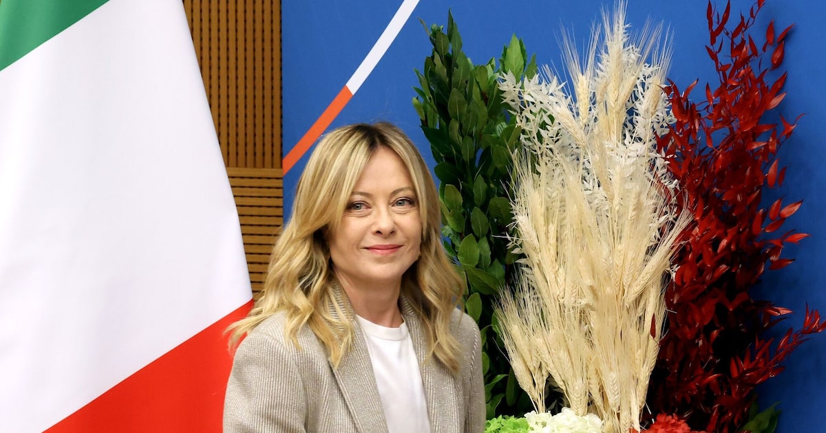 OPERACIÓN DIPLOMÁTICA MELONI: SUMINISTRO ENERGÉTICO Y ALIANZAS GOLFO