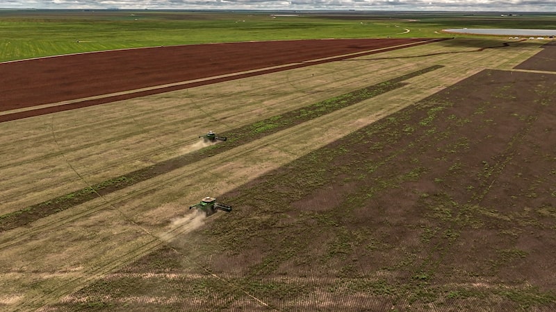 Angola pressiona Brasil por investimentos após abrir terras para projetos agrícolas Angola pressiona Brasil por investimentos após abrir terras para projetos agrícolas