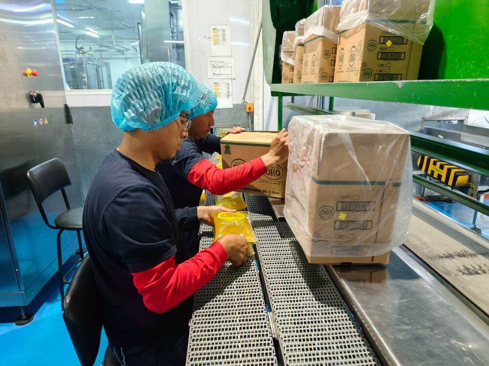 Instalaciones de Grupo Danec durante una visita de la Subsecretaría de Agroindustria para conocer el proceso de la cadena de valor de la palma aceitera, el 19 de junio de 2026. Instalaciones de Grupo Danec durante una visita de la Subsecretaría de Agroindustria para conocer el proceso de la cadena de valor de la palma aceitera, el 19 de junio de 2026.