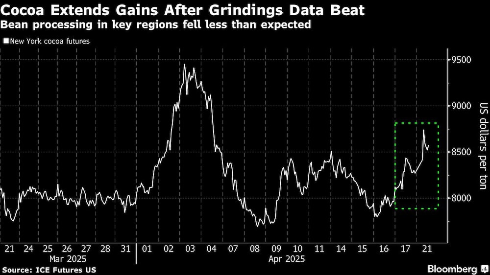 Cocoa Extends Gains After Grindings Data Beat | Bean processing in key regions fell less than expected Cocoa Extends Gains After Grindings Data Beat | Bean processing in key regions fell less than expected