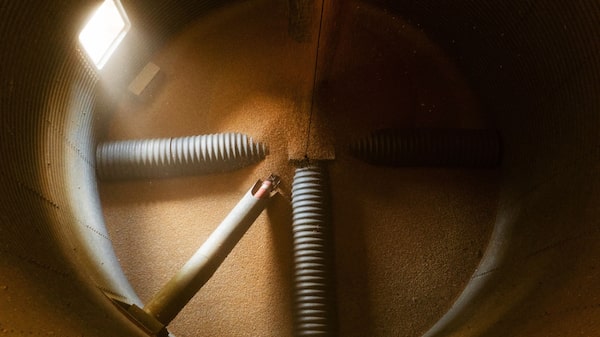 Acuerdo de granos de Ucrania cae y aumenta temores de suministro de alimentos Acuerdo de granos de Ucrania cae y aumenta temores de suministro de alimentos