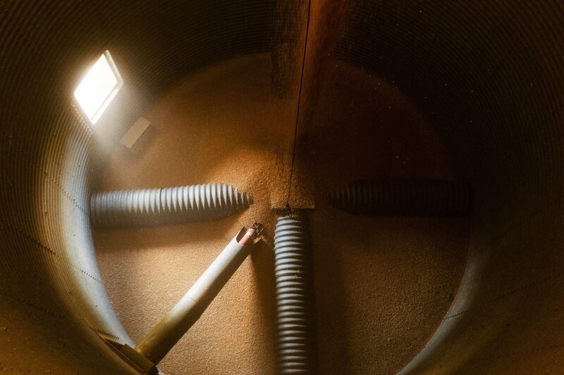 Una cosecha de granos Una cosecha de granos