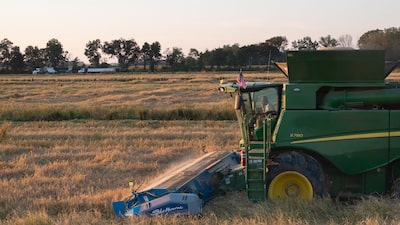 Agro é tech: um em cada seis agricultores no mundo já usa IA generativa, diz McKinsey Agro é tech: um em cada seis agricultores no mundo já usa IA generativa, diz McKinsey