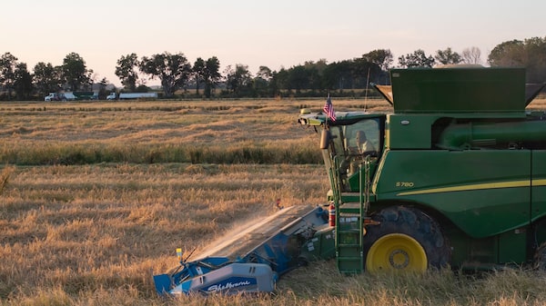 Agro é tech: um em cada seis agricultores no mundo já usa IA generativa, diz McKinsey Agro é tech: um em cada seis agricultores no mundo já usa IA generativa, diz McKinsey