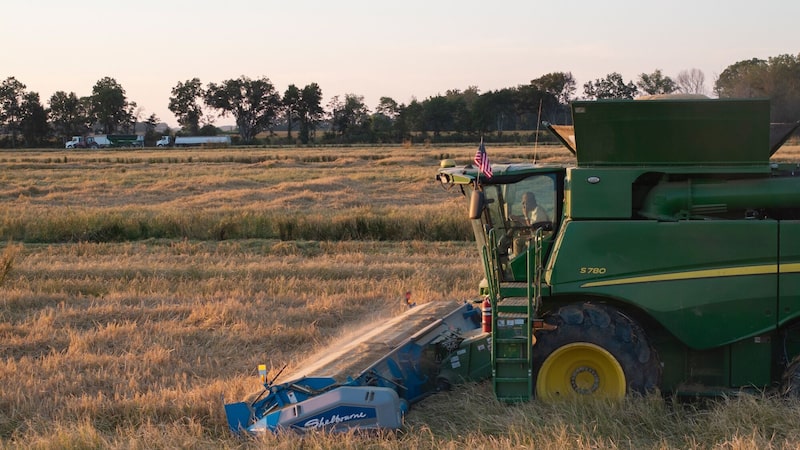 Agro é tech: um em cada seis agricultores no mundo já usa IA generativa, diz McKinsey Agro é tech: um em cada seis agricultores no mundo já usa IA generativa, diz McKinsey
