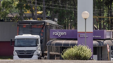 Crise na Raízen: empresa estuda reestruturar dívida com ‘haircut’, dizem fontes Crise na Raízen: empresa estuda reestruturar dívida com ‘haircut’, dizem fontes