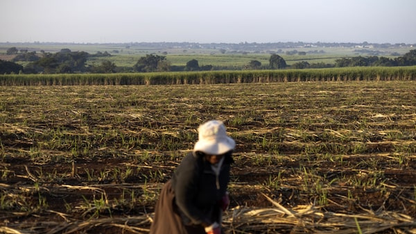 Estados Unidos y China necesitan un ‘Plan Marshall’ sobre el clima Estados Unidos y China necesitan un ‘Plan Marshall’ sobre el clima