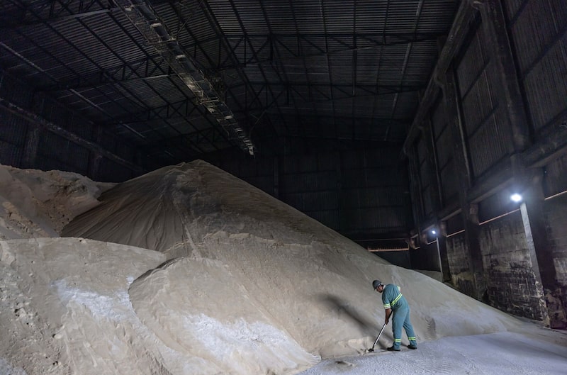 Un trabajador palea azúcar en la planta de bioenergía de azúcar y etanol Vista Alegre en Itapetininga, estado de São Paulo, Brasil. Un trabajador palea azúcar en la planta de bioenergía de azúcar y etanol Vista Alegre en Itapetininga, estado de São Paulo, Brasil.