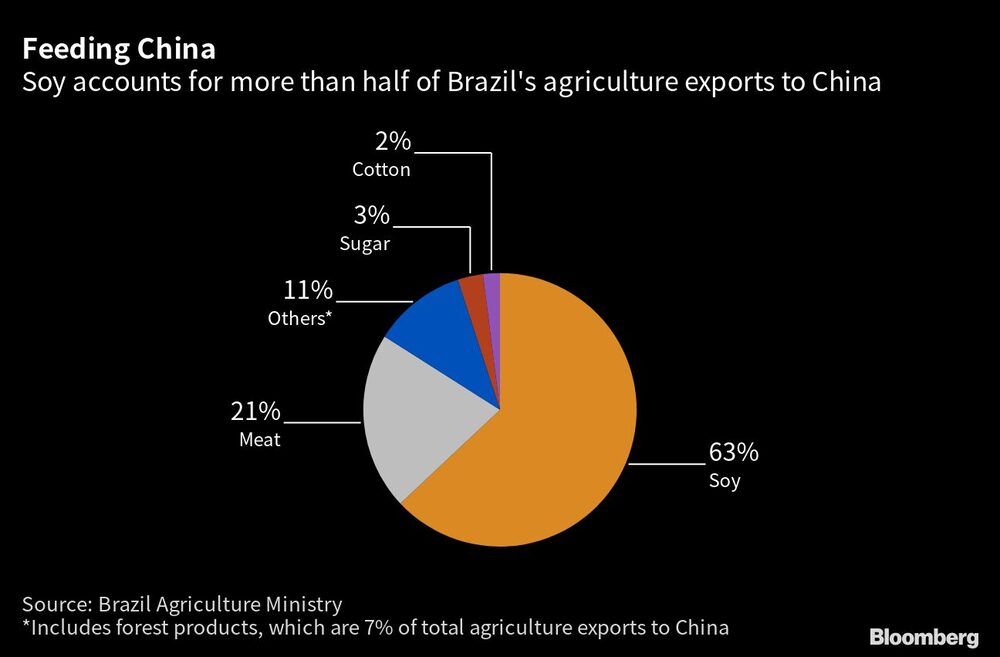 La soja representa más de la mitad de las exportaciones agrícolas de Brasil a China La soja representa más de la mitad de las exportaciones agrícolas de Brasil a China