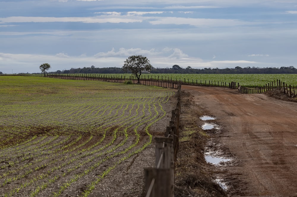 Agropecuária Três Irmãos Agropecuária Três Irmãos