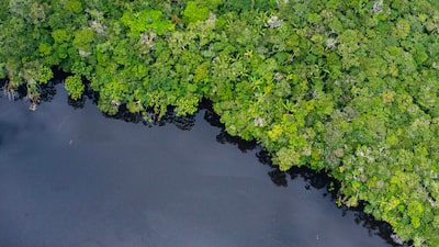 La millonaria inversión que necesita América Latina para conservar su biodiversidad, según el BID y Cepal La millonaria inversión que necesita América Latina para conservar su biodiversidad, según el BID y Cepal