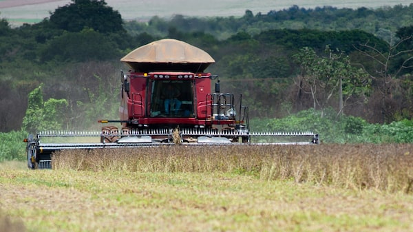 Precios de los fertilizantes suben y anticipan más inflación alimentaria Precios de los fertilizantes suben y anticipan más inflación alimentaria