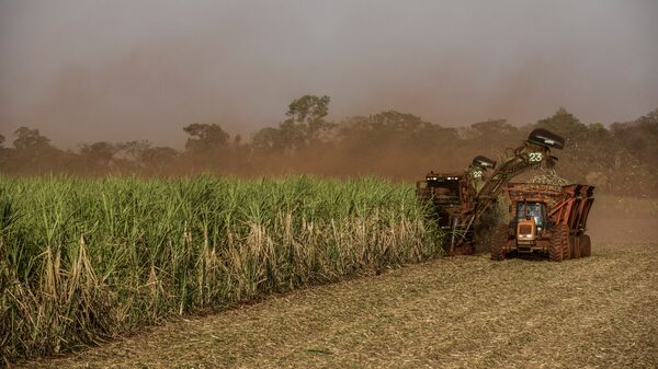 México impõe tarifas de até 210% sobre o açúcar, com o Brasil como principal alvo México impõe tarifas de até 210% sobre o açúcar, com o Brasil como principal alvo
