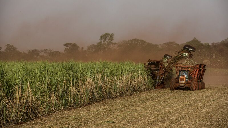 México impõe tarifas de até 210% sobre o açúcar, com o Brasil como principal alvo México impõe tarifas de até 210% sobre o açúcar, com o Brasil como principal alvo