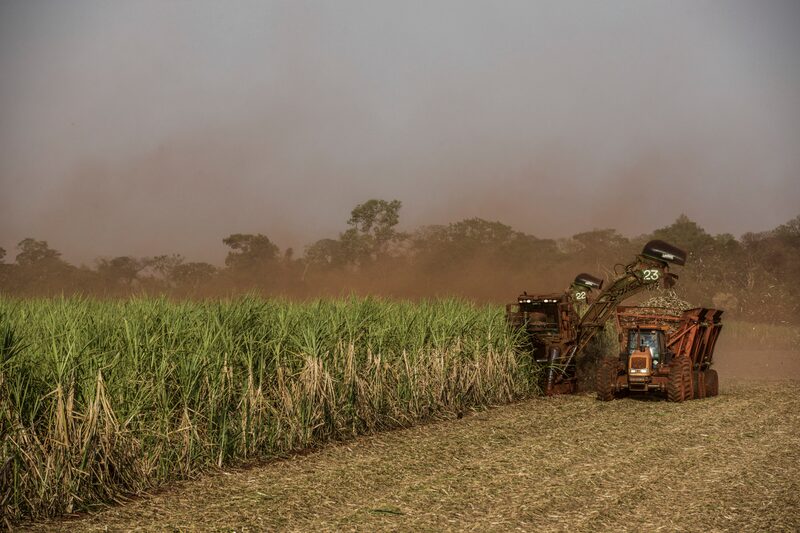 Colheita de cana de açúcar no interior de São Paulo: Medida inclui tarifas de 156% e 210% sobre o açúcar de cana, açúcar líquido refinado, açúcar de beterraba e xaropes. (Foto: Paulo Fridman/ Bloomberg) Colheita de cana de açúcar no interior de São Paulo: Medida inclui tarifas de 156% e 210% sobre o açúcar de cana, açúcar líquido refinado, açúcar de beterraba e xaropes. (Foto: Paulo Fridman/ Bloomberg)