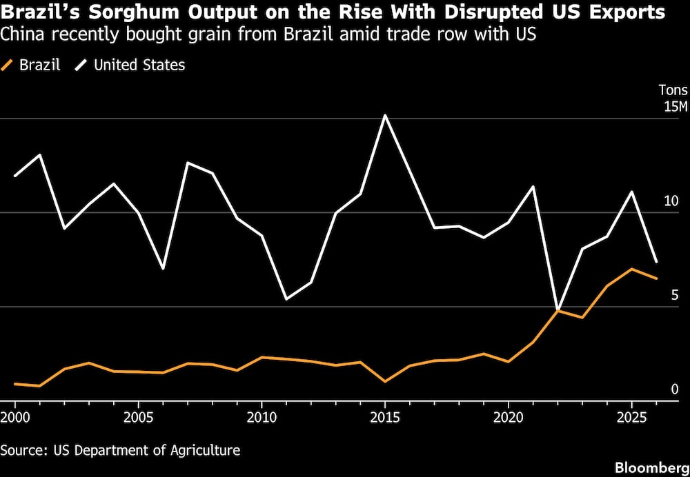 Aumenta la producción de sorgo en Brasil ante la interrupción de las exportaciones de EE. UU. Aumenta la producción de sorgo en Brasil ante la interrupción de las exportaciones de EE. UU.