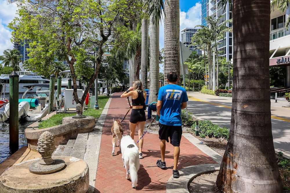Pedestres passeiam com cães no Riverwalk, ao longo do Rio New, em Fort Lauderdale, na Flórida (EUA), na quarta-feira (16 de setembro de 2026). Fort Lauderdale atraiu uma enxurrada de projetos de condomínios de luxo e um dos maiores novos inquilinos corporativos da região. Pedestres passeiam com cães no Riverwalk, ao longo do Rio New, em Fort Lauderdale, na Flórida (EUA), na quarta-feira (16 de setembro de 2026). Fort Lauderdale atraiu uma enxurrada de projetos de condomínios de luxo e um dos maiores novos inquilinos corporativos da região.