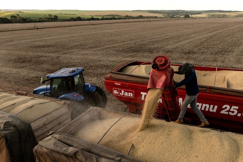 Os importadores reservaram os suprimentos para aproveitar a recente queda nos preços brasileiros, que haviam subido nos meses anteriores diante das consequências do agravamento das tensões sino-americanas Os importadores reservaram os suprimentos para aproveitar a recente queda nos preços brasileiros, que haviam subido nos meses anteriores diante das consequências do agravamento das tensões sino-americanas