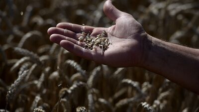 Nido Ventures Seeks to Sow Seed Funding in Mexico Nido Ventures Seeks to Sow Seed Funding in Mexico