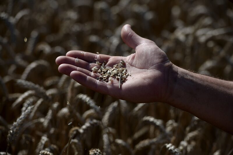En los últimos años, la entrada de nuevos vehículos de inversión en México enfocados a las etapas iniciales ha desacelerado su crecimiento En los últimos años, la entrada de nuevos vehículos de inversión en México enfocados a las etapas iniciales ha desacelerado su crecimiento