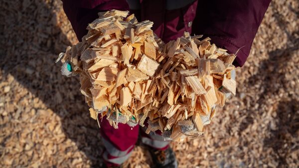 Brazil’s Pulp Giant Suzano Seeds Capital to Grow Green Economy Ventures Brazil’s Pulp Giant Suzano Seeds Capital to Grow Green Economy Ventures