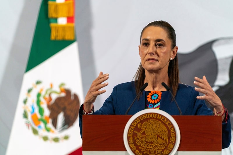 La presidenta de México, Claudia Sheinbaum, durante una conferencia de prensa matutina. La presidenta de México, Claudia Sheinbaum, durante una conferencia de prensa matutina.
