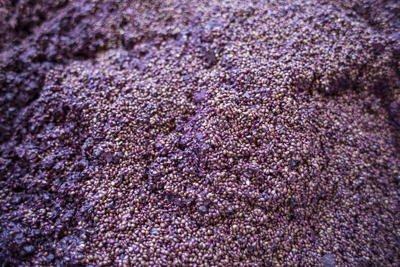 Terra do vinho Malbec se prepara para fornecer potássio Terra do vinho Malbec se prepara para fornecer potássio