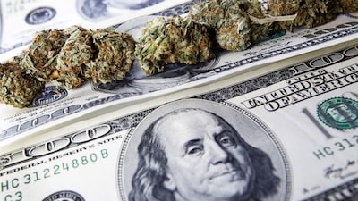 Cannabis de uso adulto: la puerta que se abriría para Colombia y qué está en juego Cannabis de uso adulto: la puerta que se abriría para Colombia y qué está en juego