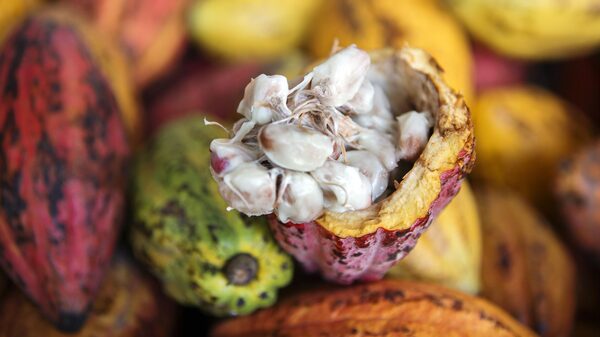 ¿Cómo reconocer un buen chocolate? Esto es lo que debe tener uno ¿Cómo reconocer un buen chocolate? Esto es lo que debe tener uno