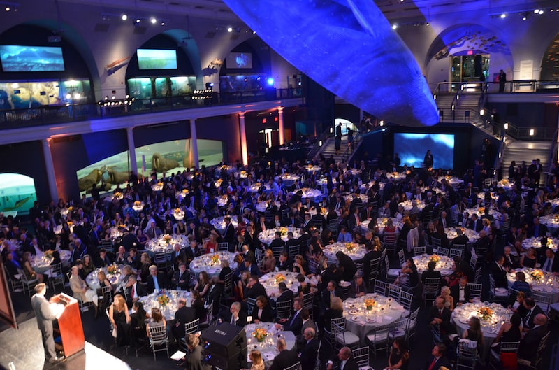 Jes Staley addresses the JPMorgan Chase gala audience under the blue whale in the Hall of Ocean Life at the American Museum of Natural History in New York, U.S., on Tuesday, Sept. 25, 2012.. Photographer: Amanda Gordon/Bloomberg Jes Staley addresses the JPMorgan Chase gala audience under the blue whale in the Hall of Ocean Life at the American Museum of Natural History in New York, U.S., on Tuesday, Sept. 25, 2012.. Photographer: Amanda Gordon/Bloomberg