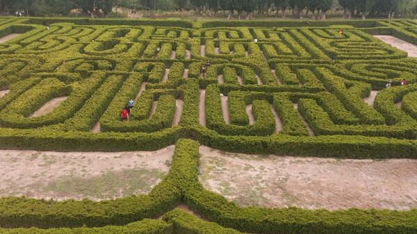 Jorge Luis Borges and the Labyrinths of Copyright Jorge Luis Borges and the Labyrinths of Copyright