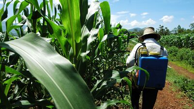 Esta empresa de fertilizantes saiu da recuperação judicial e prevê faturar R$ 300 mi  Esta empresa de fertilizantes saiu da recuperação judicial e prevê faturar R$ 300 mi