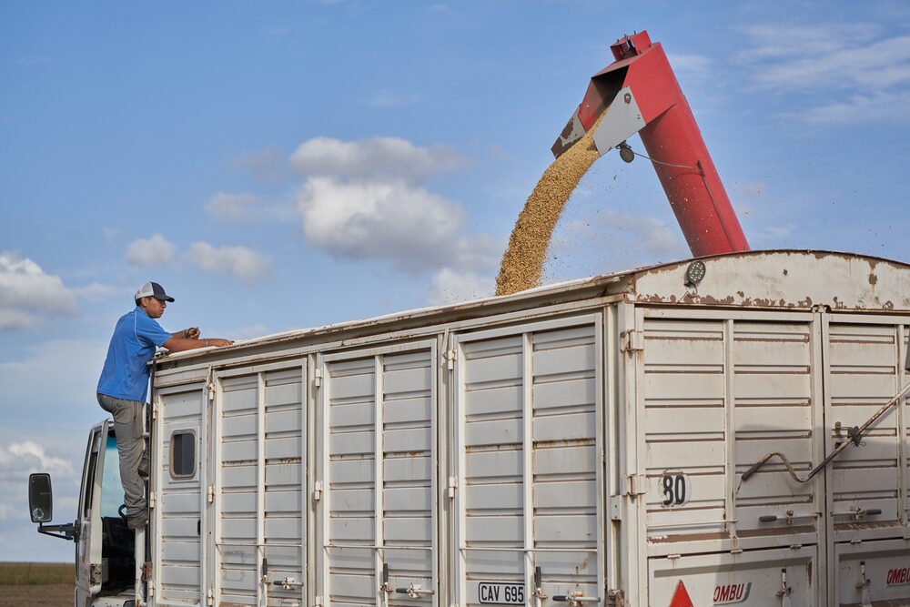 Argentina soy crop Argentina soy crop