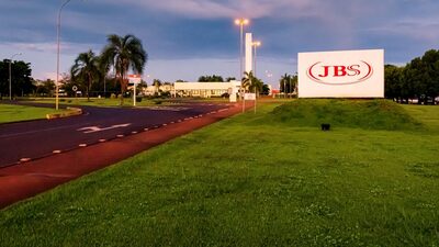 Como a JBS contribuiu com a recuperação de 2 mil hectares de floresta Como a JBS contribuiu com a recuperação de 2 mil hectares de floresta