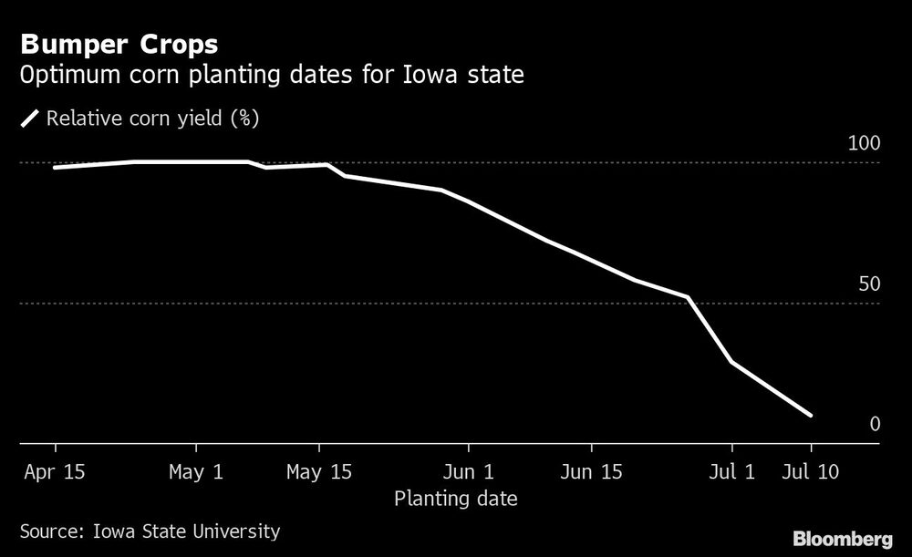 Bumper Crops | Optimum corn planting dates for Iowa state Bumper Crops | Optimum corn planting dates for Iowa state