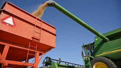 De guerras a mudança climática: tempestade perfeita ameaça a segurança alimentar global De guerras a mudança climática: tempestade perfeita ameaça a segurança alimentar global