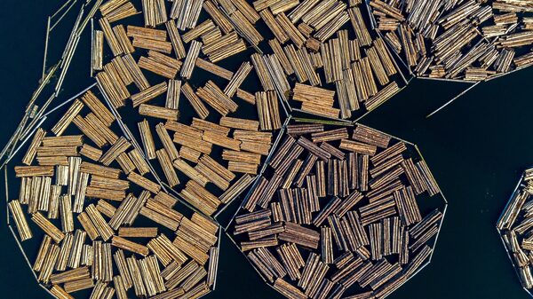 Trump fija aranceles a importaciones de madera para impulsar la industria estadounidense Trump fija aranceles a importaciones de madera para impulsar la industria estadounidense