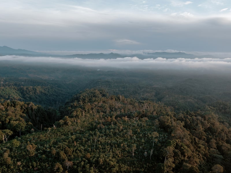 Un paisaje de montaña en la regencia de Tanggamus de la provincia de Lampung, Indonesia. Fotógrafo: Muhammad Fadli/Bloomberg. Un paisaje de montaña en la regencia de Tanggamus de la provincia de Lampung, Indonesia. Fotógrafo: Muhammad Fadli/Bloomberg.