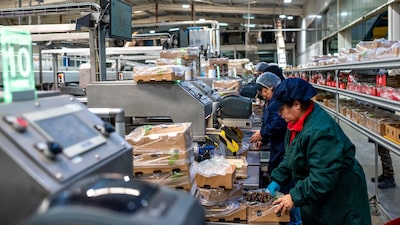 Beneficios industriales de China habían crecido previo a la interrupción de la guerra en Irán Beneficios industriales de China habían crecido previo a la interrupción de la guerra en Irán