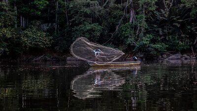 Los NFT se unen a la lucha del pueblo Paiter Surui en Rondonia Los NFT se unen a la lucha del pueblo Paiter Surui en Rondonia